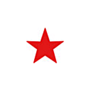 Accustamp 1 color Star Stamp